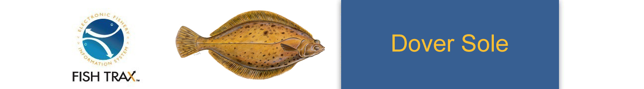 header_doversole.jpg